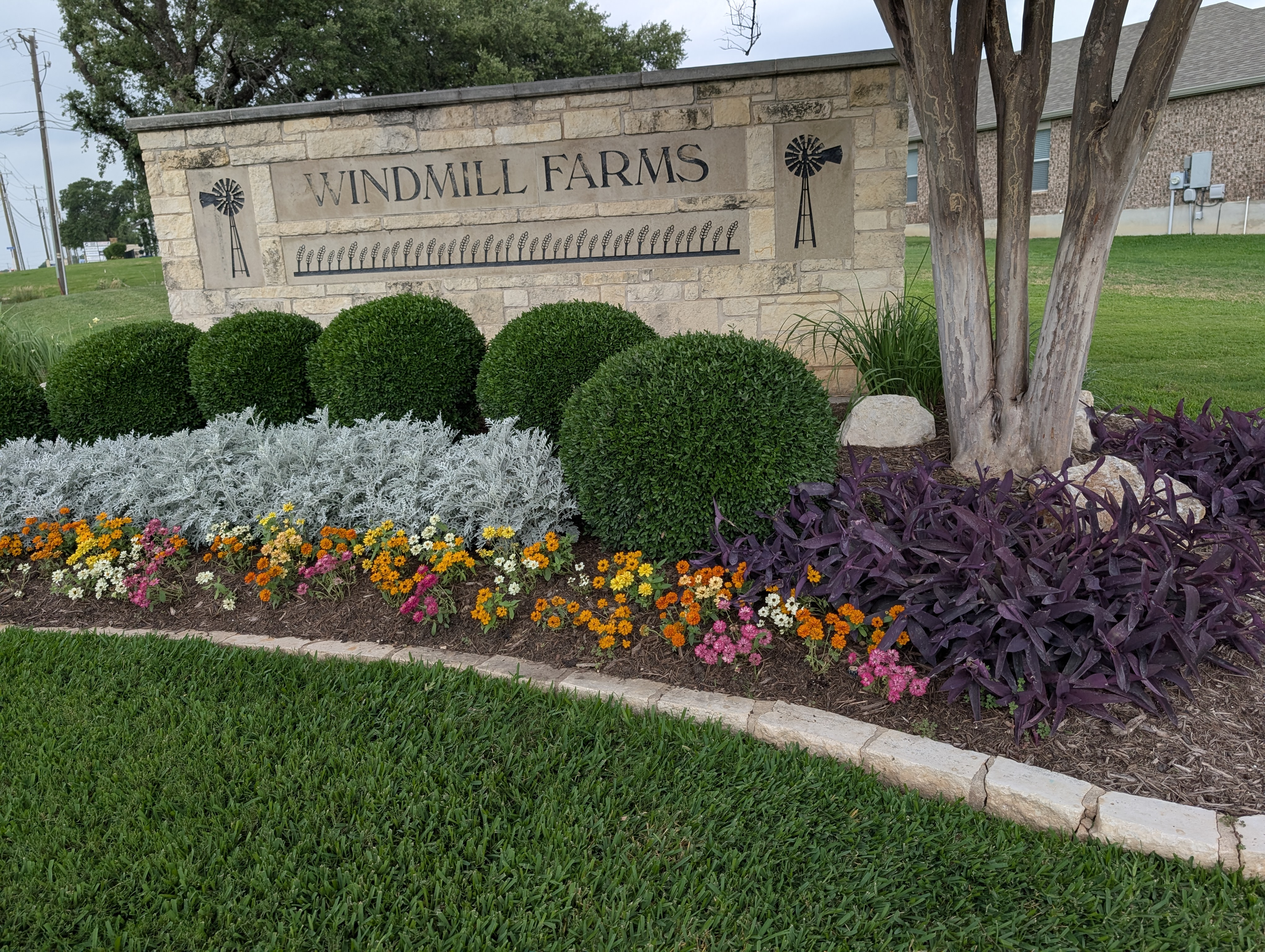 Landscape Design